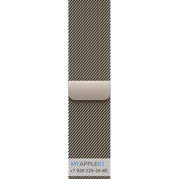 Apple Watch Series 12 46 mm Natural Titanium