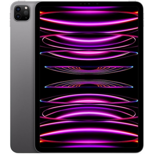 Apple iPad Pro 11 M2 2022 Wi‑Fi Cellular 1 Tb Space Gray