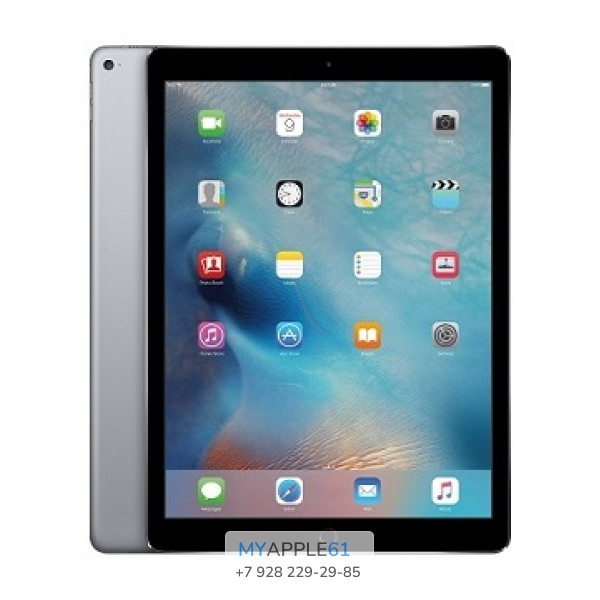 iPad Pro 12.9 Wi-Fi 256 Gb Space Gray